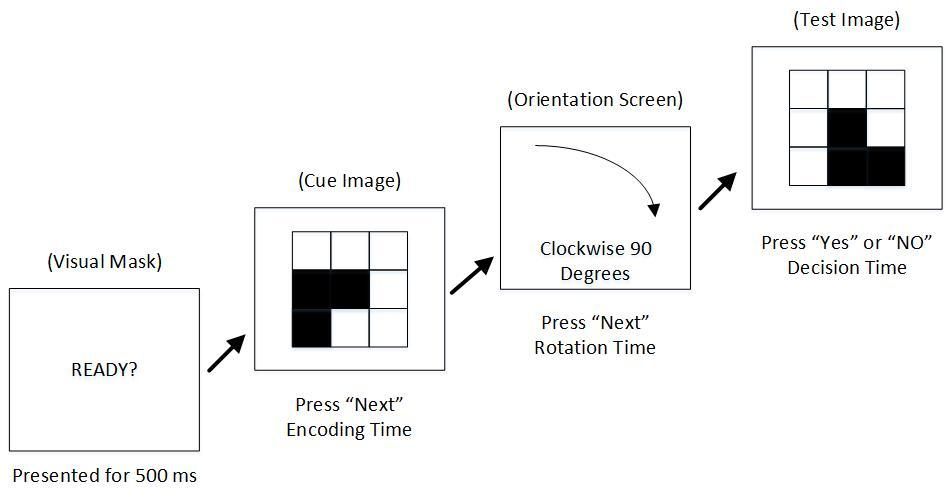 Neuropsychology Test System